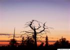 Nightfall in Swedish Lapland