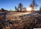 Frosty sunrise