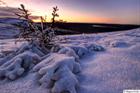 Frozen landscape